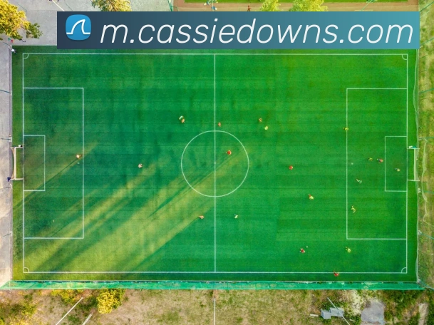 澳门威尼斯在线娱乐APP 高清赛事图